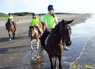 Horse Trecking